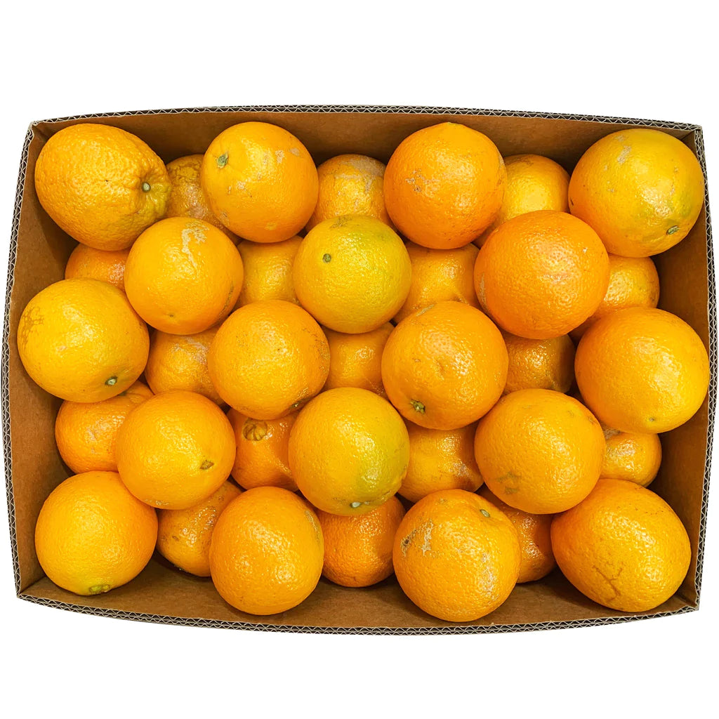 Orange,  Salustiana 110ct (Fruit)